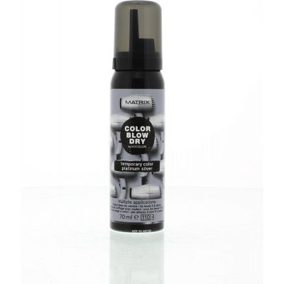 Color Blow Dry Platinum Silver 70Ml