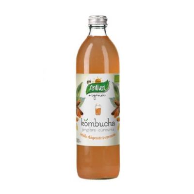 Organic Ginger and Turmeric Kombucha 500ml Santiveri