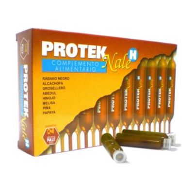 Protek-H 20amp Nale