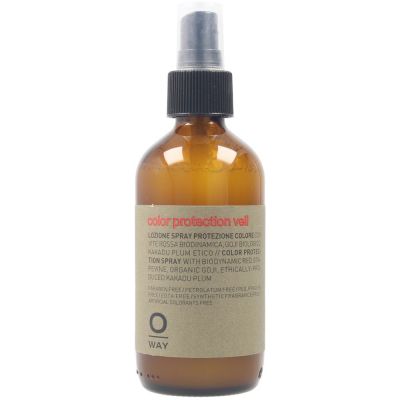 COLOR UP color protection veil 160 ml