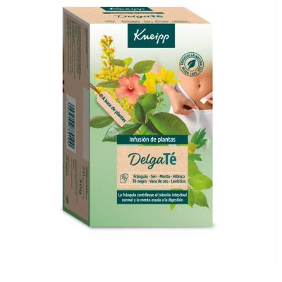 Sachets infusion DELGATÉ 20 u