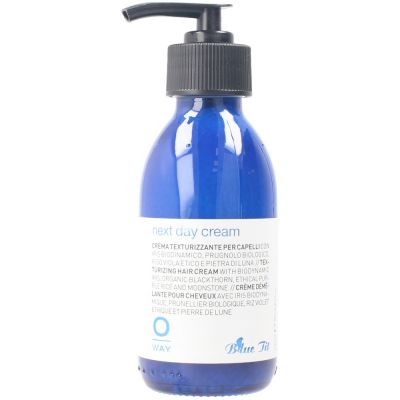 NEXT DAY CREAM turizing hair cream 140 ml