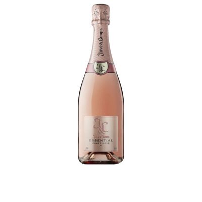Juve & Camps Brut Rosé Pinor Noir