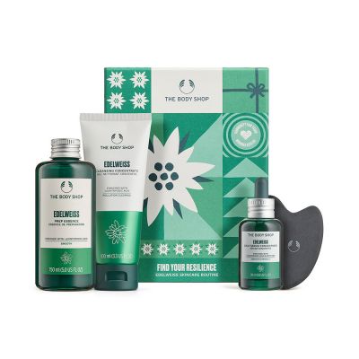 Lotto di Edelweiss 4 pz