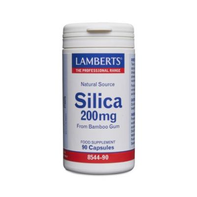 Silicon 200Mg 90comp Lamberts