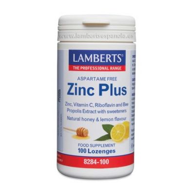 Zinc Plus Chewables 100 past Lamberts