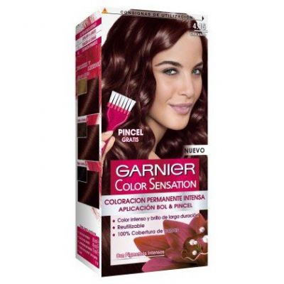 Chocolate Color Color Sensation Garnier Nº4.15