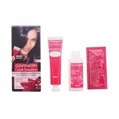Coloration Color Sensation Garnier Bluish Black Nº2.1