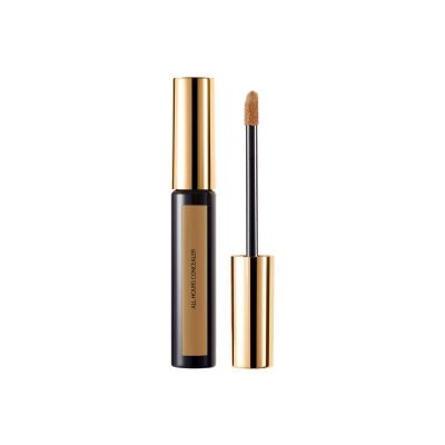 All Hours Corrector Le Teint Encre Peau Correcteur 06 F5Ml