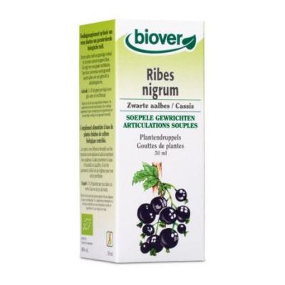 Black Currant Extract 50ml Biover