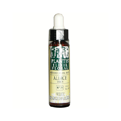 Floral Elixir N 19 Larch Larch 10ml Plantis