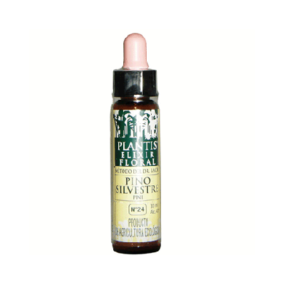 Floral Elixir N 24 Silvest Pine 10ml Plantis