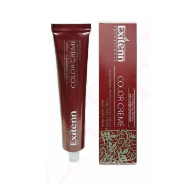 Silver Color Creme 60 Ml | Exitenn