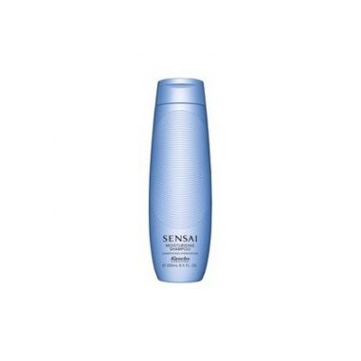 Cura dei capelli idratante Shampoo 250 Ml