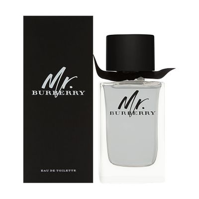 Burberry Mr Burberry Eau De Toilette 100Ml