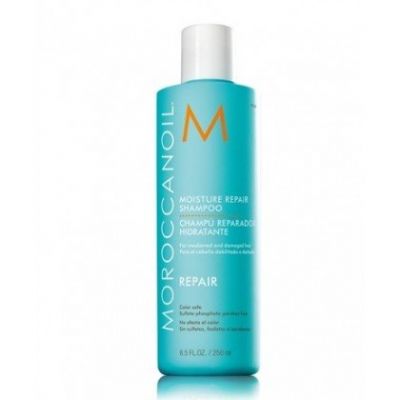 REPAIR moisture repair shampoo 250 ml