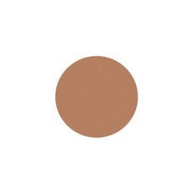 Shiseido Sun Protect Compact 30 dB