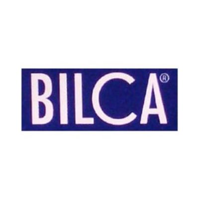 Champu Aloe 250ml Bilca