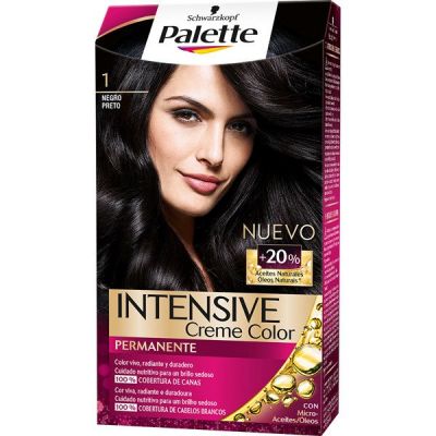 Palette Intense Tinte 1 Negro