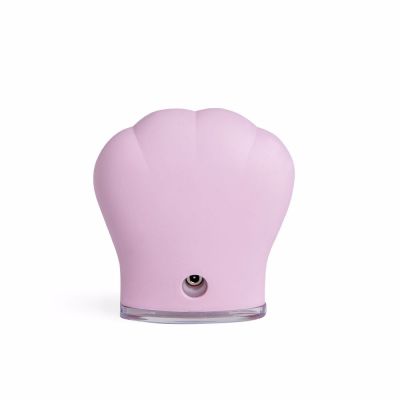 SKIN cleansing brush 1 uds