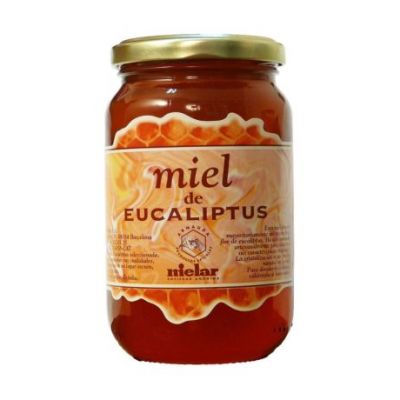 Miel de Eucalipto 500g Arnauda Mielar