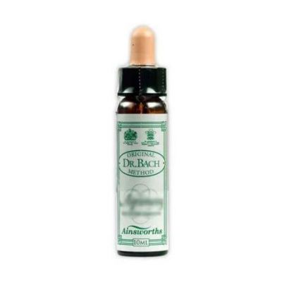 Bach Walnuss Walnuss 10 ml Ainsworths
