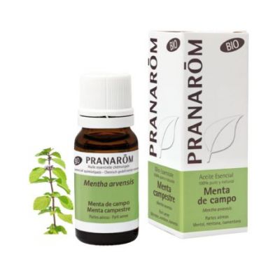 Aceite Esencial Menta del Campo Eco 10ml Pranarom