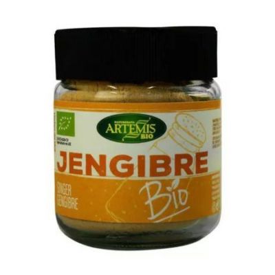 Jengibre Tarro Polvo Eco 50g Artemis