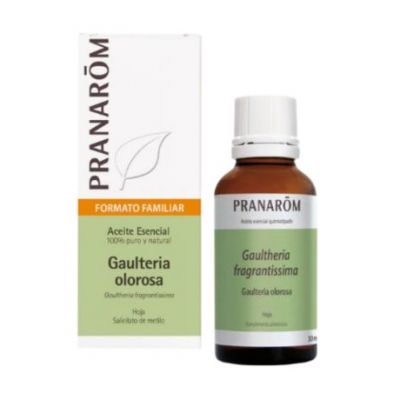 Bio-duftende Wintergrünblatt-Essenz 30 ml Pranarom