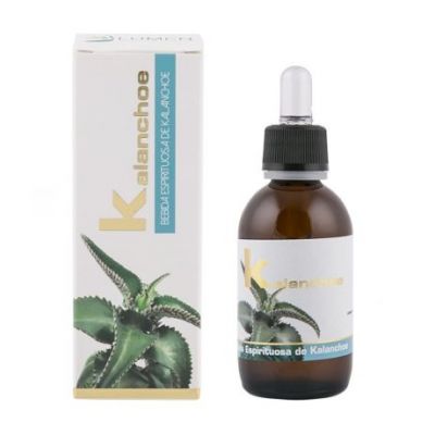 Extracto de Kalanchoe 50ml Lumen