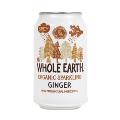 Soda allo zenzero biologico senza zucchero 330ml Terra intera