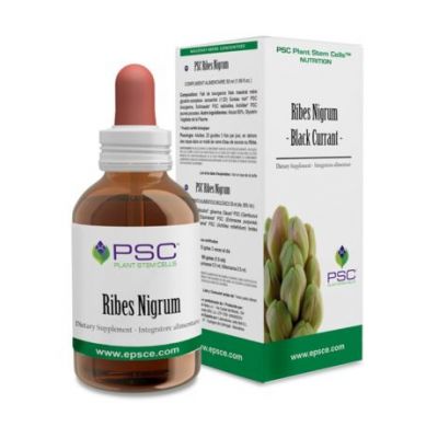 PSC Ribes Nigrum 15ml Forzavitale
