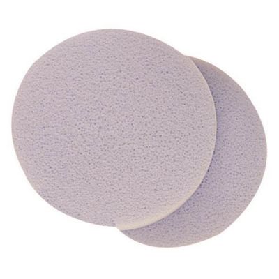 ESPONJA PROFESIONAL RAMER GRANDE-B/2unid