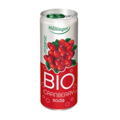 Bevanda analcolica al mirtillo Bio Lattina 250ml Hollinger