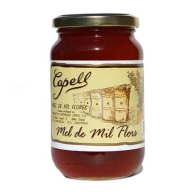 Miel Mil Flores Liquida 500g Capell