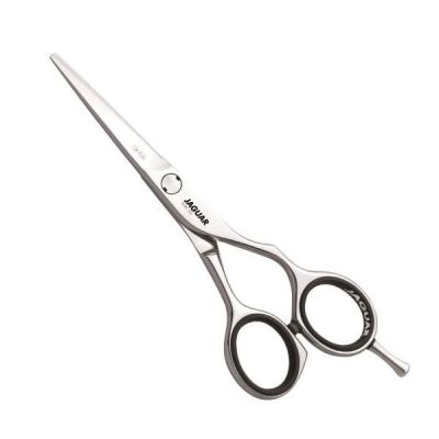 JAGUAR ARGENT CJ4 PLUS 5 CISEAUX