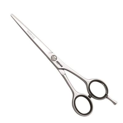 JAGUAR BLANC ARGENT GLACE 6 CISEAUX