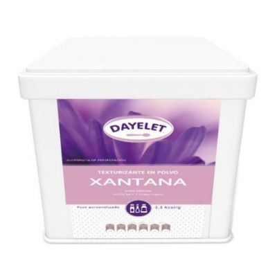 Goma Xantana SinGluten Vegan 500g Dayelet
