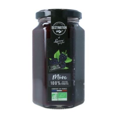 Mermelada de Moras Bio 300g Destination