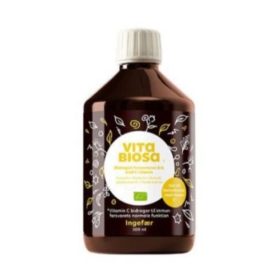 Bevanda fermentata allo zenzero biologico 500ml Vita Biosa