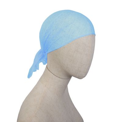 RÉSEAU DE SÉCHEURS DE DISQUES CELESTE