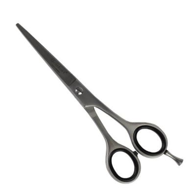 CISEAUX DE SECONDAIRE 6